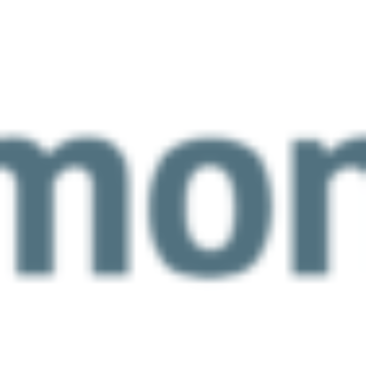 Logo lemontech